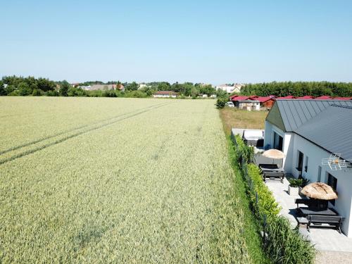 a large field of grass next to a house at Kamyczek in Gąski