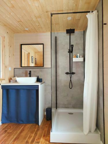 une salle de bain avec douche et lavabo dans l'établissement Le Cottage, à Messeix