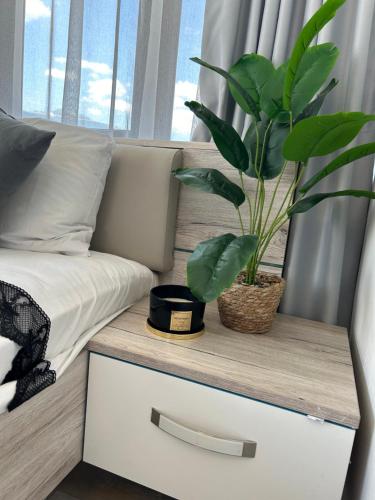 a bed with a table with two plants on it at Bulgarane House in Govedartsi