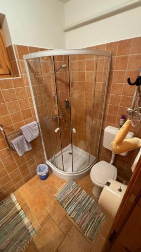 a bathroom with a glass shower and a toilet at Reichelhausen Vendégház in Kiskunhalas