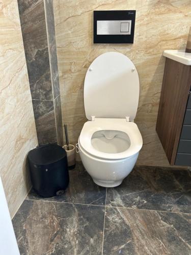 a bathroom with a toilet and a trash can at Kosmaj Ruža vetrova in Sopot