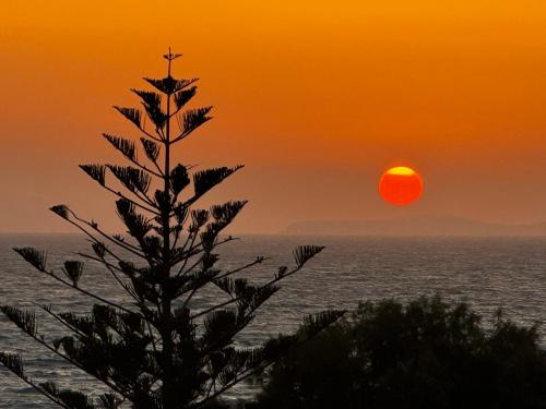 a sunset with a tree in front of the ocean at Andreas Studios in Mastichari