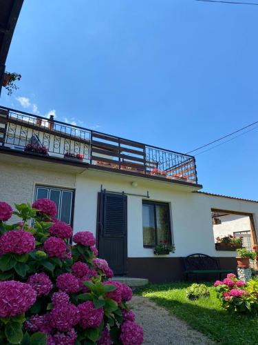 Zahrada ubytování Panorama Pokoj Apartments