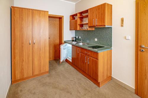 a small kitchen with wooden cabinets and a sink at Relax Hotel Stork in Lednice