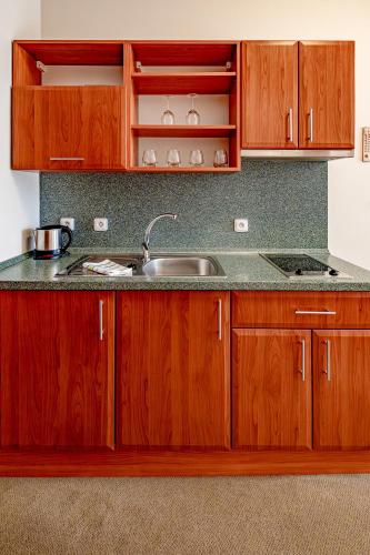 a kitchen with wooden cabinets and a sink at Relax Hotel Stork in Lednice