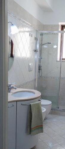 a bathroom with a shower and a sink and a toilet at Villa Pina in Vico Equense