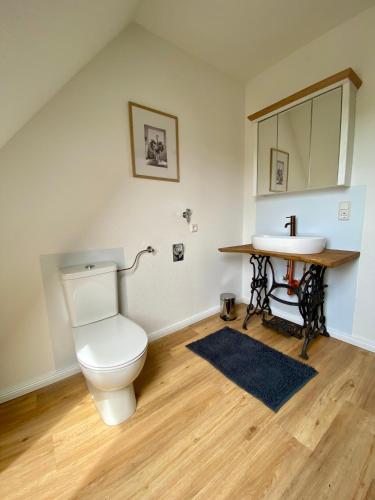 a bathroom with a toilet and a sink at Ferienwohnung Straußenblick Dachgeschoss - keine Monteure in Bad Fallingbostel
