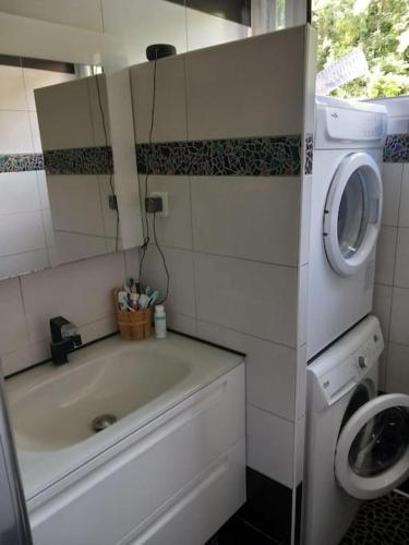 une salle de bain avec un lavabo et une machine à laver dans l'établissement chez wioletta et pascal, à Athis-Mons