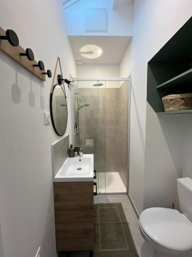 une salle de bain avec toilettes, lavabo et douche dans l'établissement Escapade Plouhatine, à Plouha