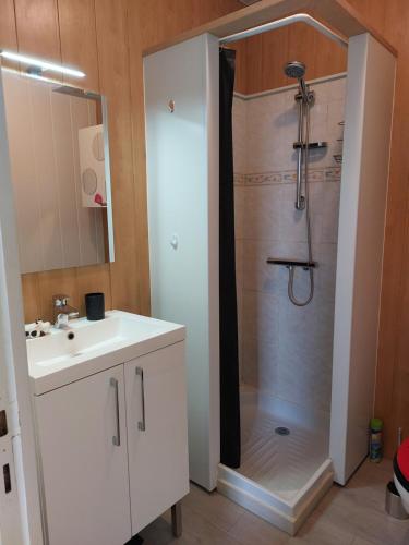 La salle de bains est pourvue d'une douche et d'un lavabo blanc. dans l'établissement Le Chanzy, à Cholet