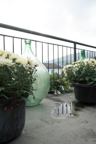 two large green vases with flowers inront of a fence at Il Vecchio Comune in Santa Sofia