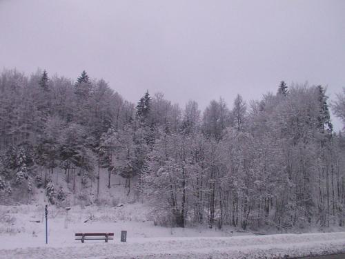 Gosciniec Wenecja durante el invierno