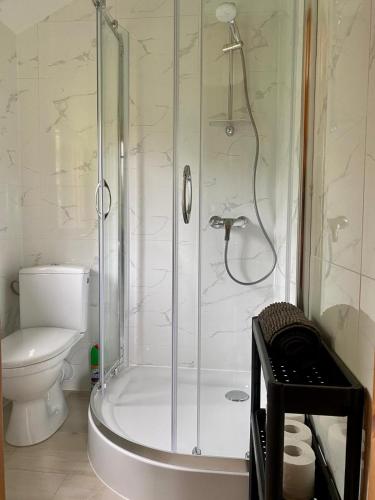 a bathroom with a shower and a toilet at Leśny Domek in Kopalino
