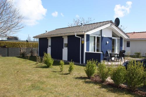 a blue and white cottage in a yard at Strandpark 13 in Grömitz