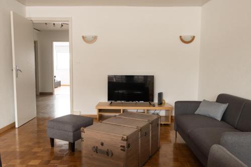 un salon avec un canapé et une télévision dans l'établissement Appartement Rénové 10 minutes à Pied du Coeur de Colmar, à Colmar