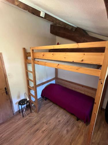a bedroom with a bunk bed in a room at Gites de Gobertier in Saint-Alban-dʼAy
