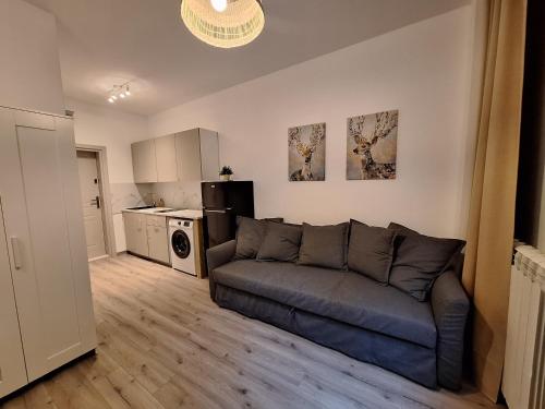 Dapur atau dapur kecil di Apartamencik Zofiówka