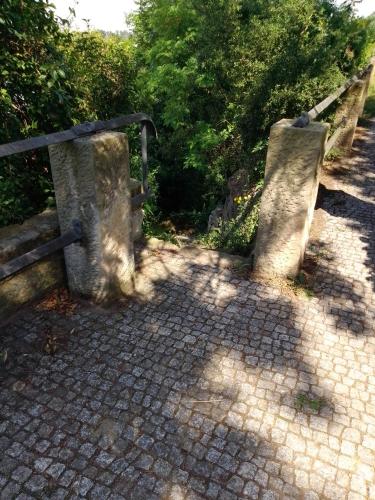 a brick path with a fence and some trees at Dresden-Entspannung-Natur-trifft-2-Städte-am-Fluss in Dresden