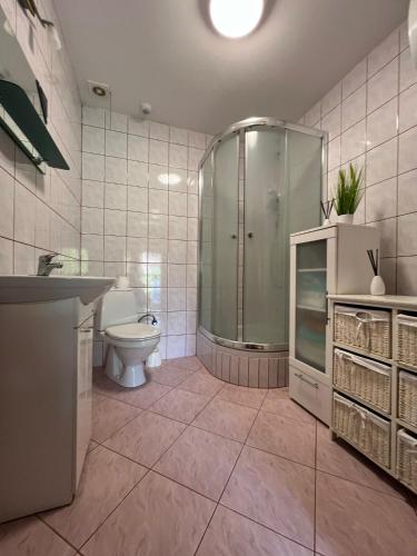 a bathroom with a shower and a toilet and a sink at Siedlisko Opoka okolice Sandomierza i Kazimierza Dolnego in Opoka Duża