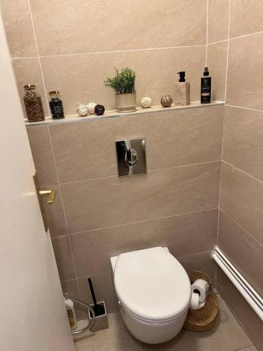 La salle de bains est pourvue de toilettes blanches et d'une étagère. dans l'établissement Les Nuages de Sablon, à Clermont-Ferrand