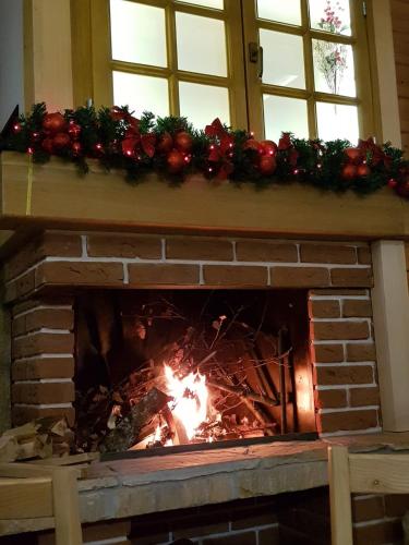 Imagen de la galería de API komora Zlatibor, en Zlatibor
