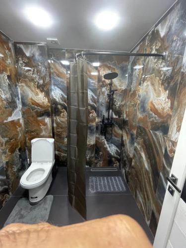 a bathroom with a toilet and a rock wall at Dream home in Vanadzor