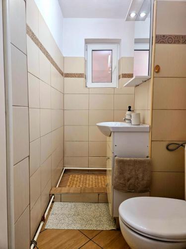 a small bathroom with a toilet and a sink at Harmony Oasis in Gheorgheni