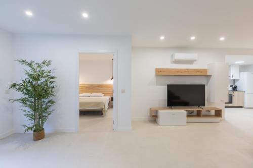 a white living room with a television and a plant at Amplio Apartamento Cerca Centro Histórico y Turia 5pax 2 Bath in Valencia