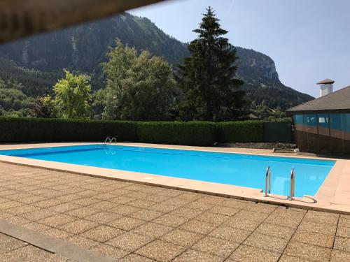 a large blue swimming pool with mountains in the background at Studio neuf rez de jardin dans chalet individuel in Thollon
