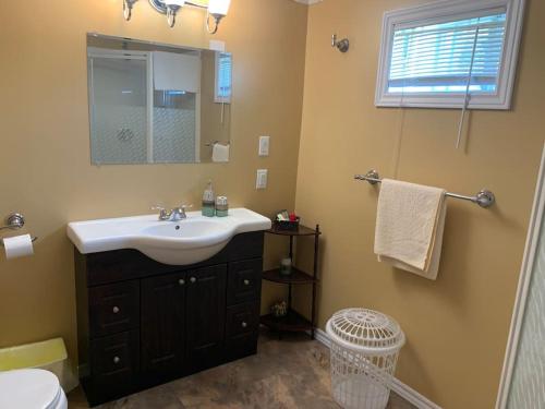 a bathroom with a sink and a mirror at Historic Hillside Vacation Home in Twillingate