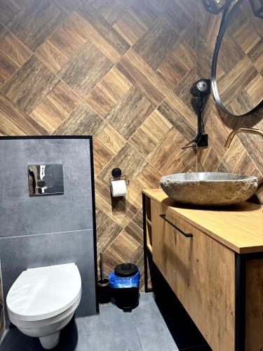 a bathroom with a toilet and a sink at Sweet Apartments in Żarki