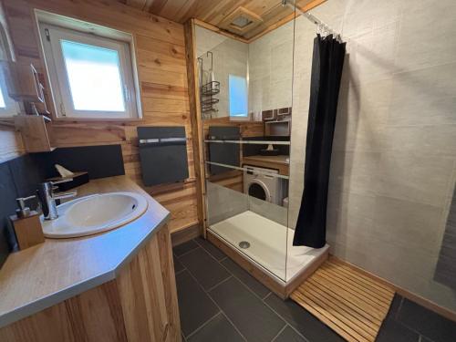 une salle de bain avec un lavabo et une douche dans l'établissement Appartement cosy avec jardin et barbecue, à Gérardmer