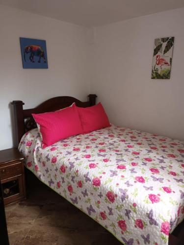 Carmen de ViboralにあるApartamento la Arcillaのベッドルーム1室(ピンクの枕が付いたベッド1台付)