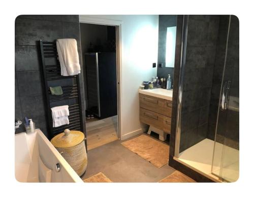 ein Badezimmer mit Dusche und Waschbecken in der Unterkunft Home in Paris in Sèvres