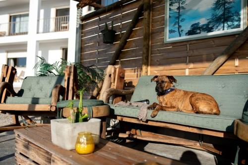 a dog laying on a bench in front of a building at Villa Intuitiva - Relaxation and Mindful Stay in Lourinhã