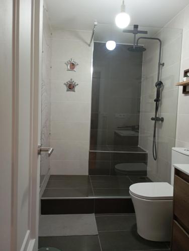 a bathroom with a shower and a toilet at Apartamento Ons in Bueu
