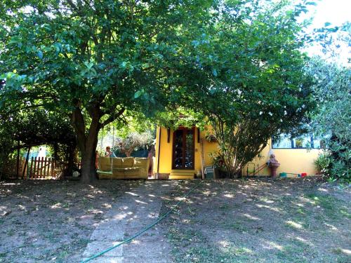 a yellow house with a tree in front of it at Casa Gelso in Scandicci