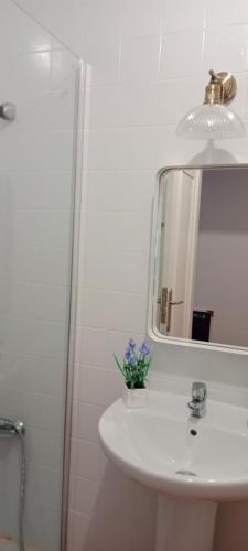 a bathroom with a sink and a mirror at Apartamentos Mirador de San Telmo in Tui