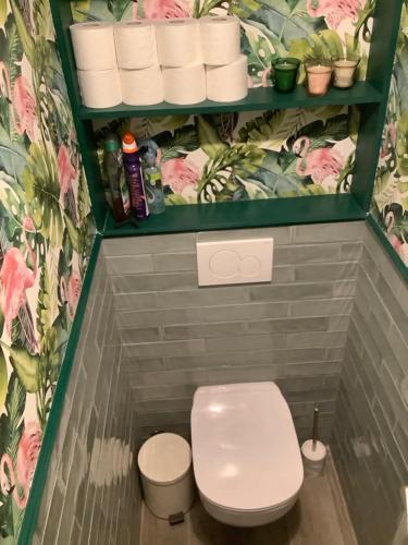 a small bathroom with a toilet and a bunch of toilet paper at Appartement Thout dichtbij zee in Ostend
