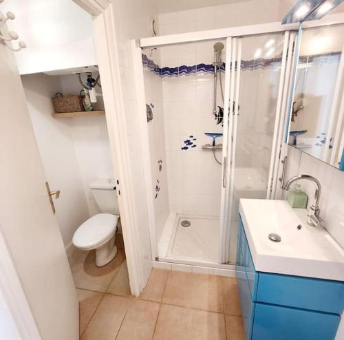 une salle de bain avec une douche, des toilettes et un lavabo dans l'établissement Studio les pieds dans l'eau et Parking, à Concarneau