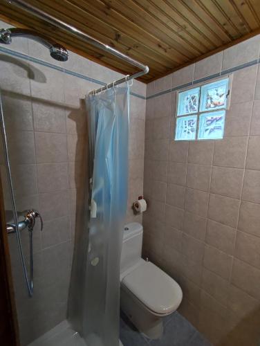 a bathroom with a toilet and a shower with a window at Casa de Aldea CASA MON in Levinco