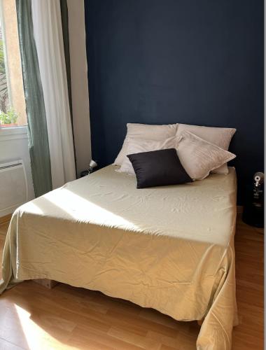 un lit avec un oreiller noir dessus dans l'établissement Appartement centre ville avec Patio, à Marseille