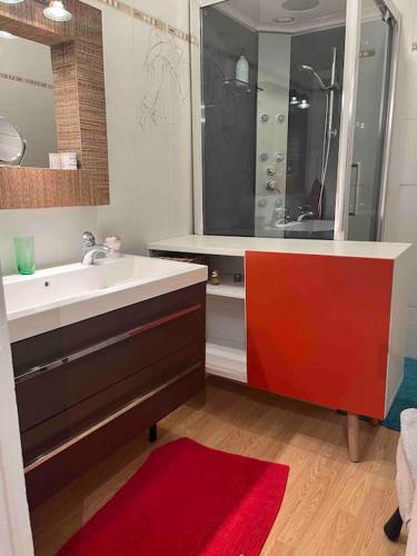 une salle de bain avec un lavabo et une douche dans l'établissement Appartement centre ville avec Patio, à Marseille