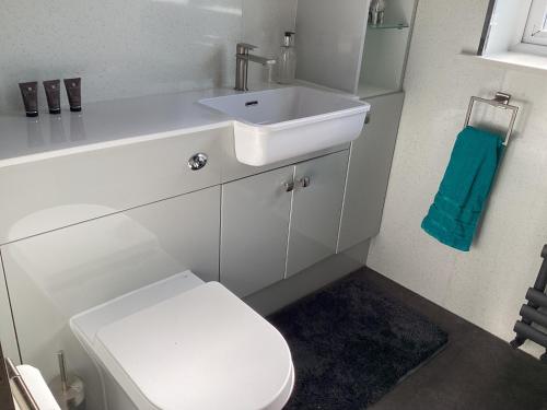 a bathroom with a white sink and a toilet at Park House in Tamworth