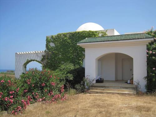 a small white building with some flowers and bushes at Maison front de mer à Kerkouen in Kerkouene