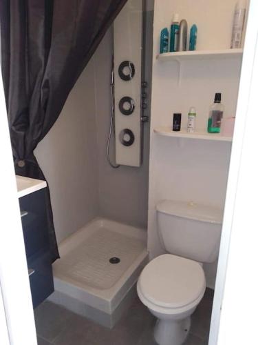 une petite salle de bain avec toilettes et douche dans l'établissement Appartement tout équipé village naturiste à 100 m, au Cap d'Agde