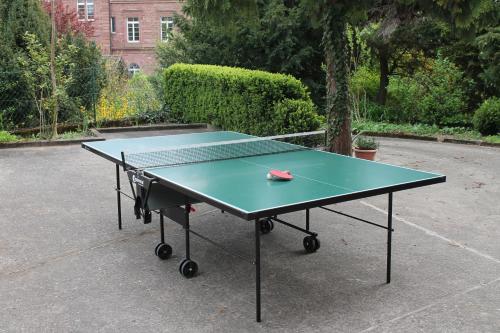 a ping pong table with a ping paddle on it at Hotel Adlerhof in Tauberbischofsheim
