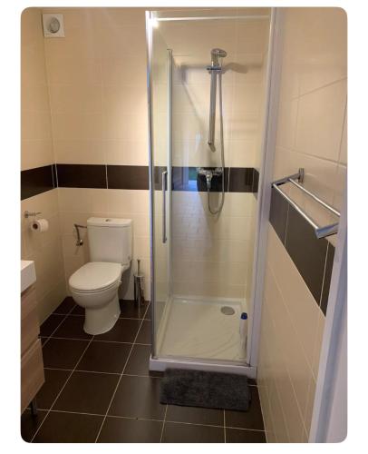 une salle de bain avec toilettes et douche en verre dans l'établissement Studio indépendant neuf avec piscine et jardin, à Roquefort-les-Pins