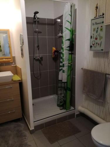 une salle de bain avec une douche avec un chat dedans dans l'établissement Appart 42 m2 à 1 min de l'A13 conforme photos, place de parking gratuite, wifi, à Magnanville