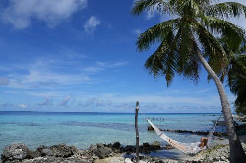 a hammock under a palm tree on a beach at Le Coconut Lodge in Avatoru
